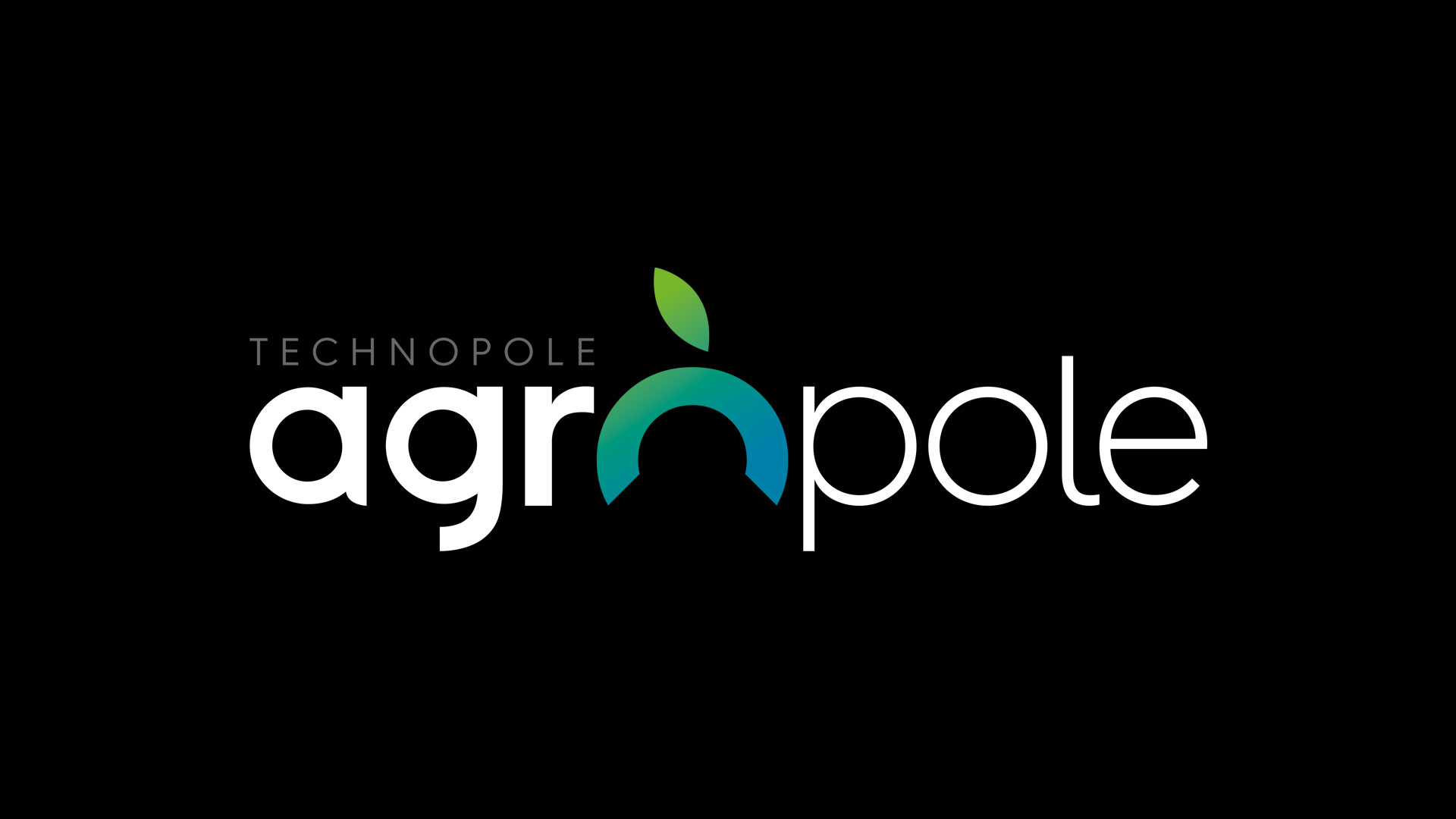 Création du logo de l’Agropole d’Agen – Agence So’Happy
Conception d’une identité visuelle forte et moderne pour l’Agropole d’Agen. Le logo traduit les valeurs d’innovation, de dynamisme et de collaboration, tout en assurant une identité cohérente et mémorable pour tous les supports de communication.