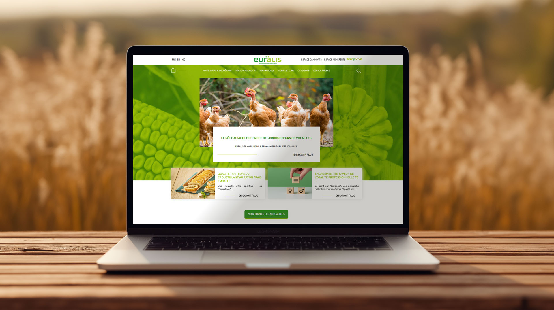 Développement du Site internet du groupe Euralis - WordPress - Agence de Communication graphique et Digital - Tarbes - Pau - Bayonne