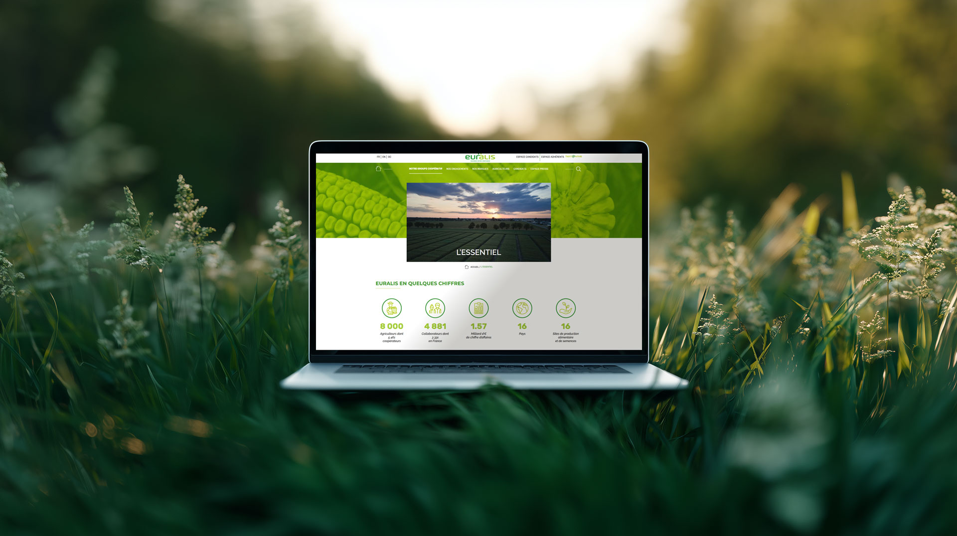Développement du Site internet du groupe Euralis - WordPress - Agence de Communication graphique et Digital - Tarbes - Pau - Bayonne